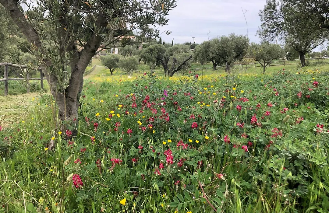 Agriturismo DonnoMarco-1